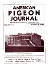 Magazine Cover
